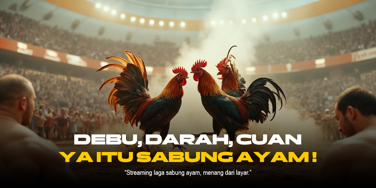 Menyelami Sabung Ayam SV388: Jenis Ayam, Odds, dan Strategi Menang
